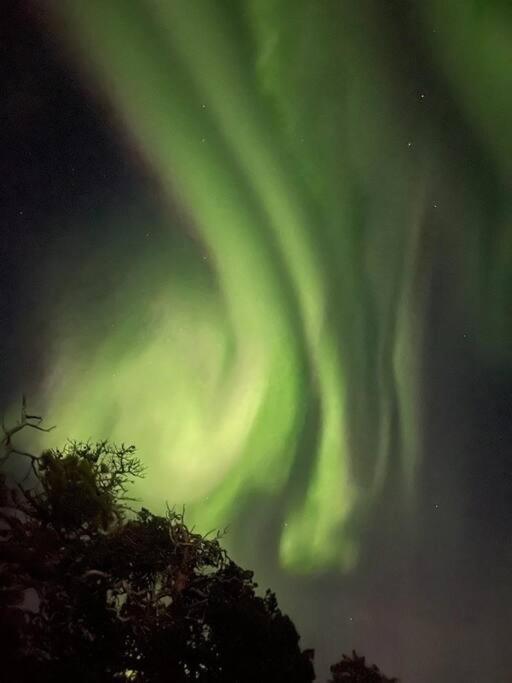 Leilighet I Rolig Gate Med Utsikt Og Gratis Parkering Apartamento Tromsø Exterior foto